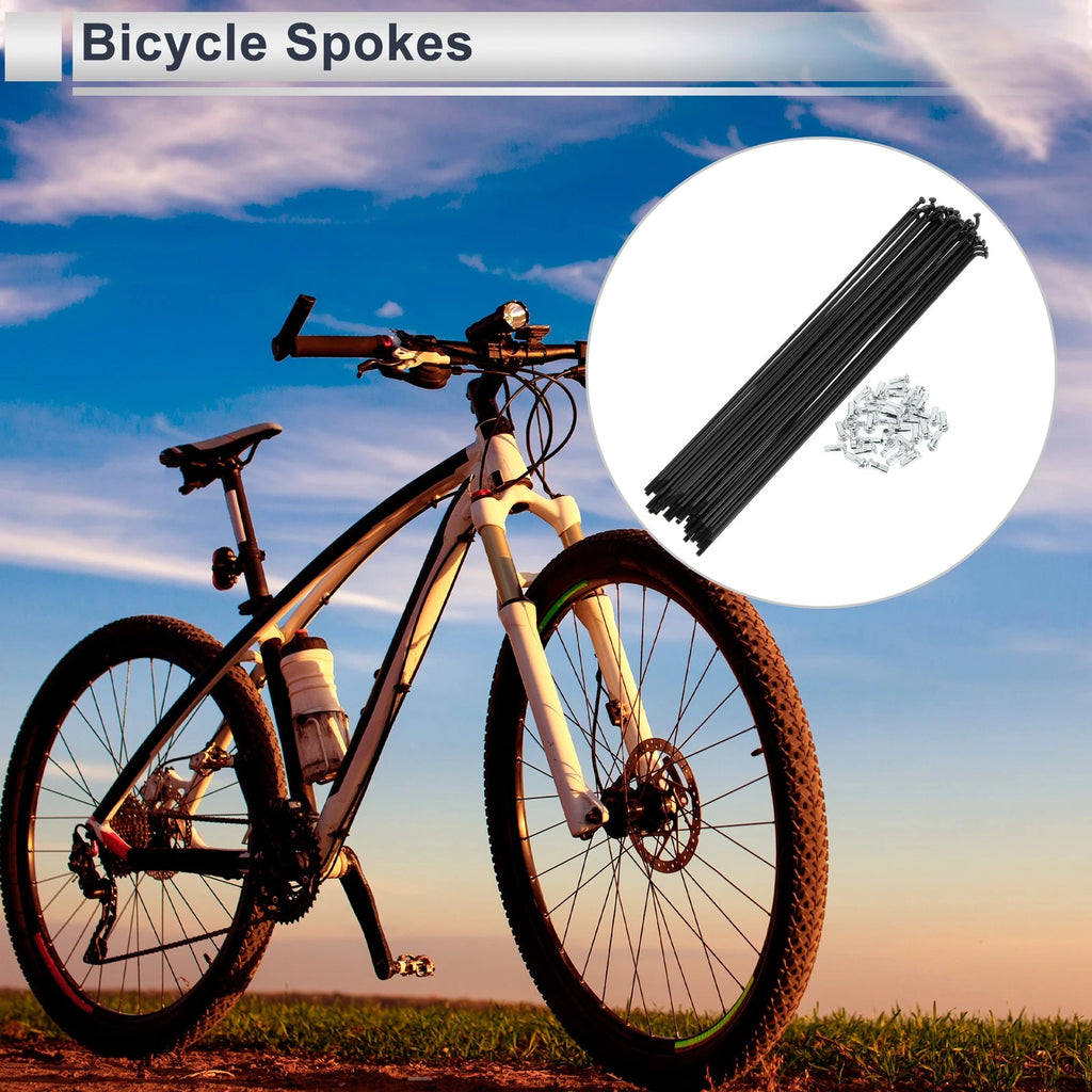 Bicycle Spokes Nipple Set Carbon Steel 253mm Universal for 12G (2000–2000)