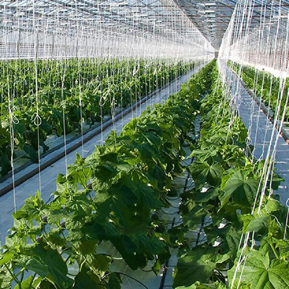 Tomato Trellis Rollerhook for Enhanced Gardening Experience
