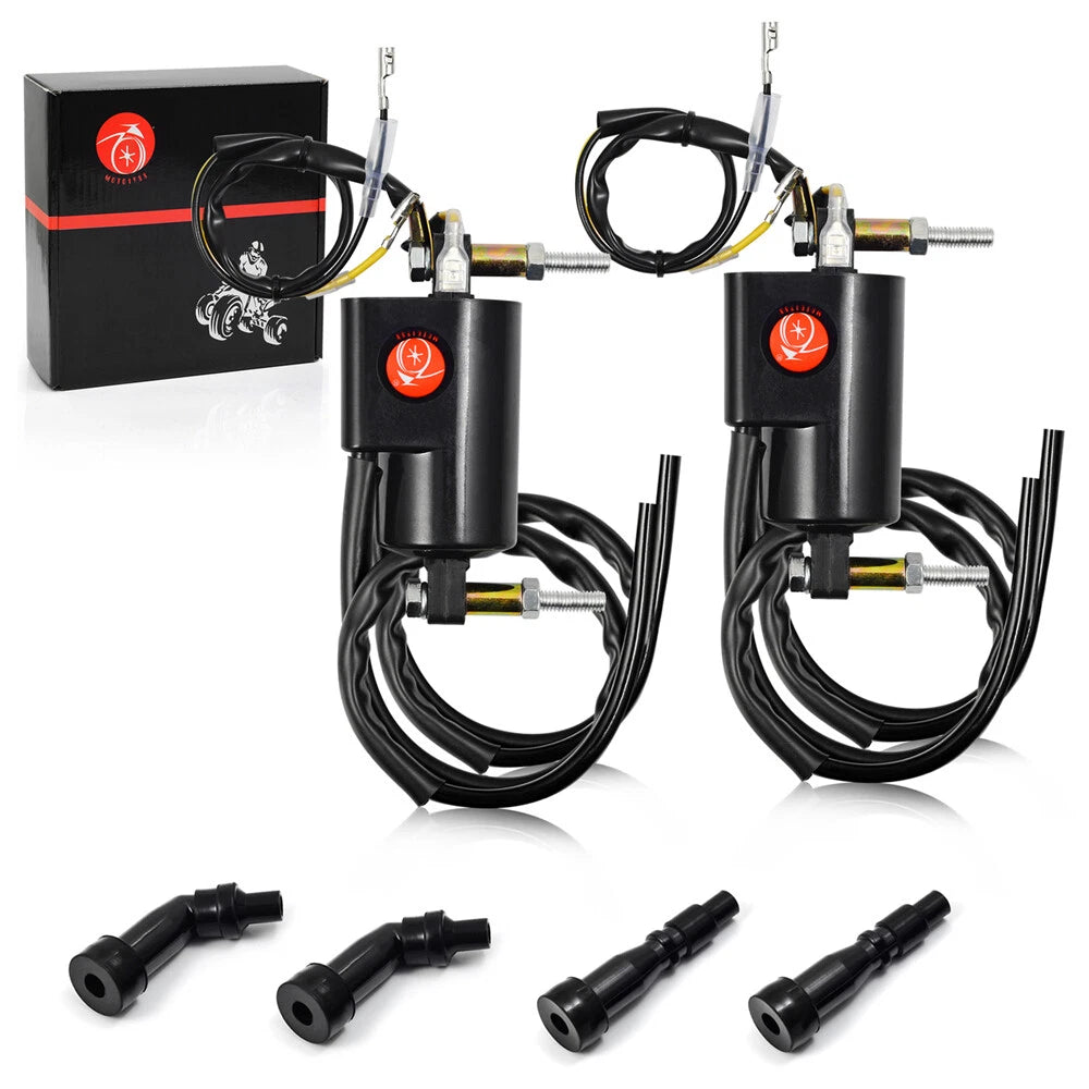 2-Pack Ignition Coil for Suzuki Bandit GSF600 (1996–2003)