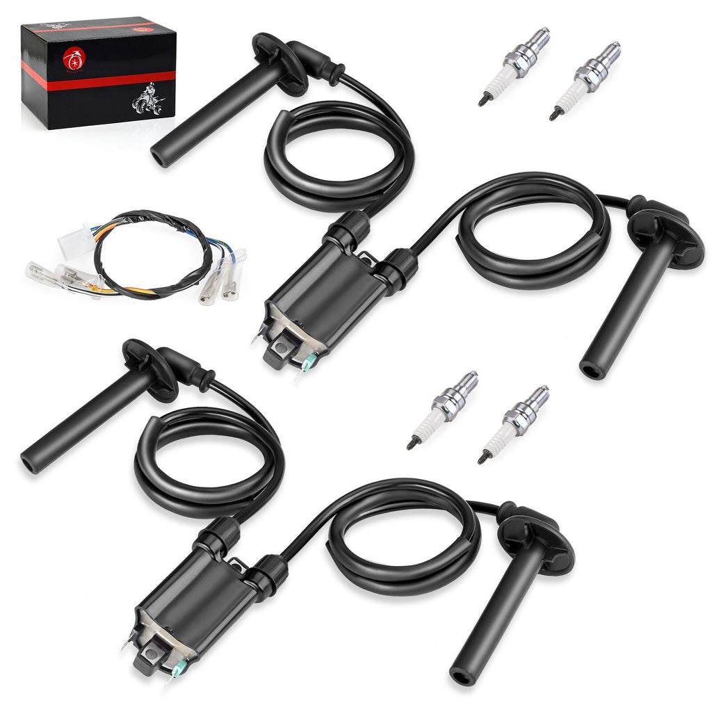 2X Ignition Coil & Spark Plug Set + Ignition Sub Harness for Honda ST1100 (1991–2003)