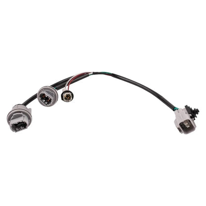 Tail Light Harness 81555-0C010 for Toyota Tundra (2000–2004)