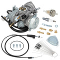 Carburetor, Throttle Cable & Fuel Filter for Suzuki Ozark 250 (2002–2007)