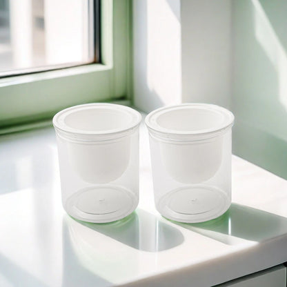 Set of 2 Self-Watering Indoor Flower Pots for Modern Decor