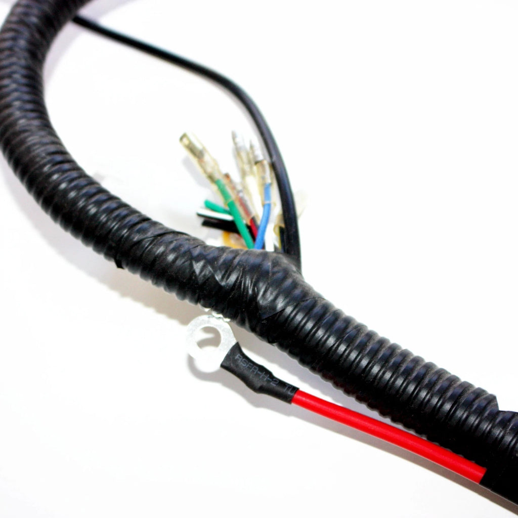 Wiring Harness Loom for 125cc Pit Trail Dirt Bike (Reg Engine)