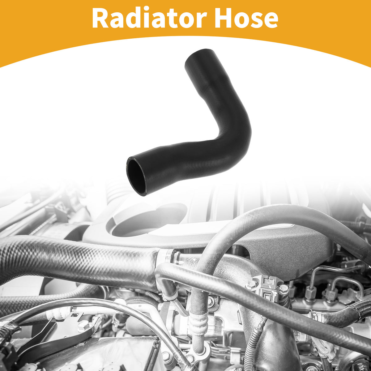 Radiator Hose Replacement for BMW 5 Series E39 523i 528i (1995–2000)