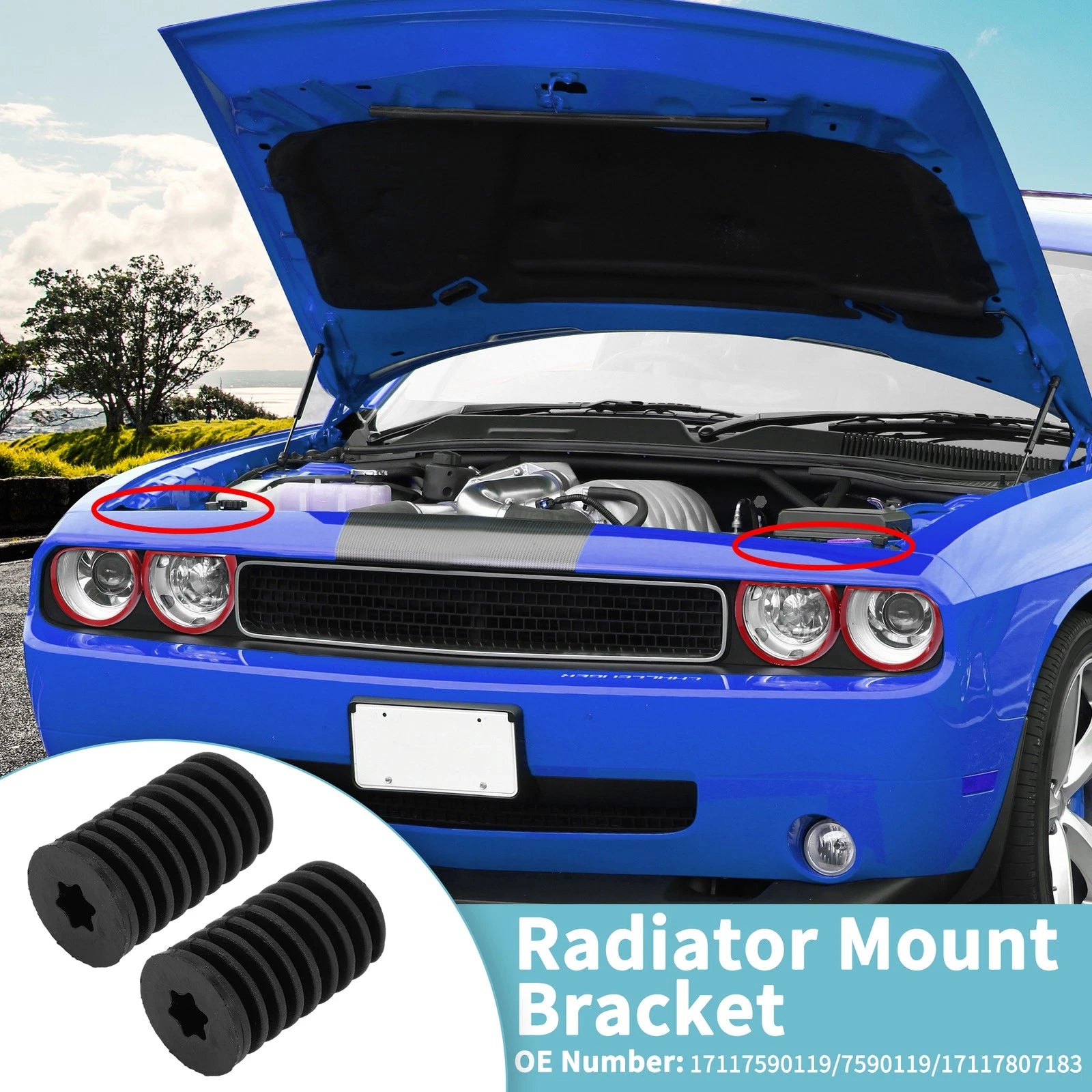 2 Pcs Radiator Mount Bracket Set for BMW 1 Series E81 (2006–2011)