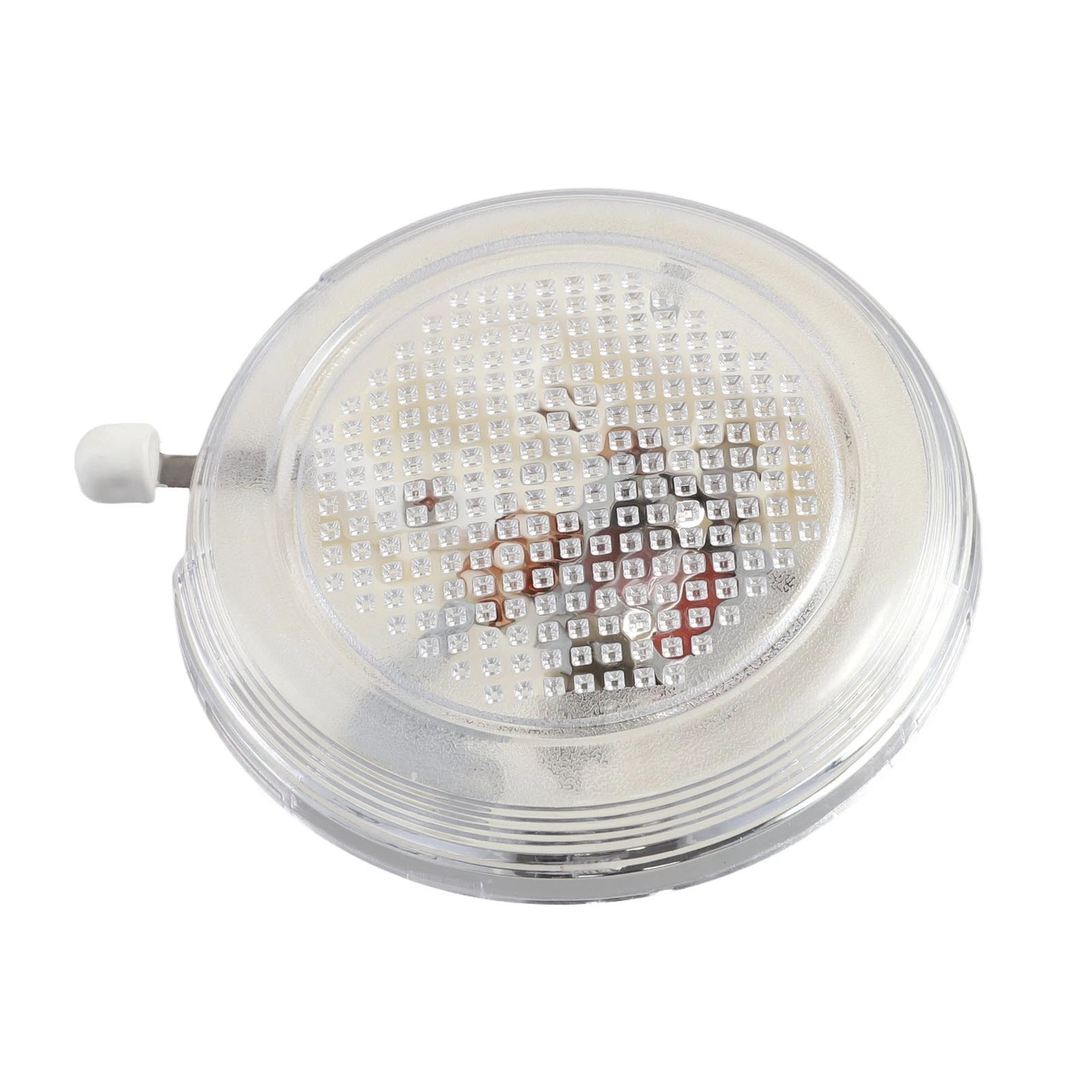 Light Lamp Assembly for Nissan Frontier