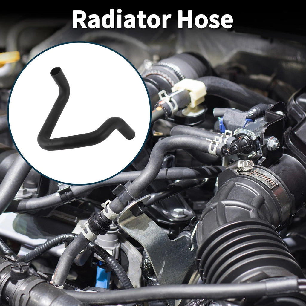 Radiator Hose Lower Replacement for Toyota Corolla 2019–2021
