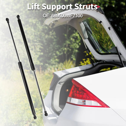 Rear Hatch Lift Supports Replacement for Toyota C-HR (2018–2024)