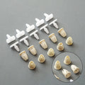 20PCS Trim Plastic Attachment Buttons for