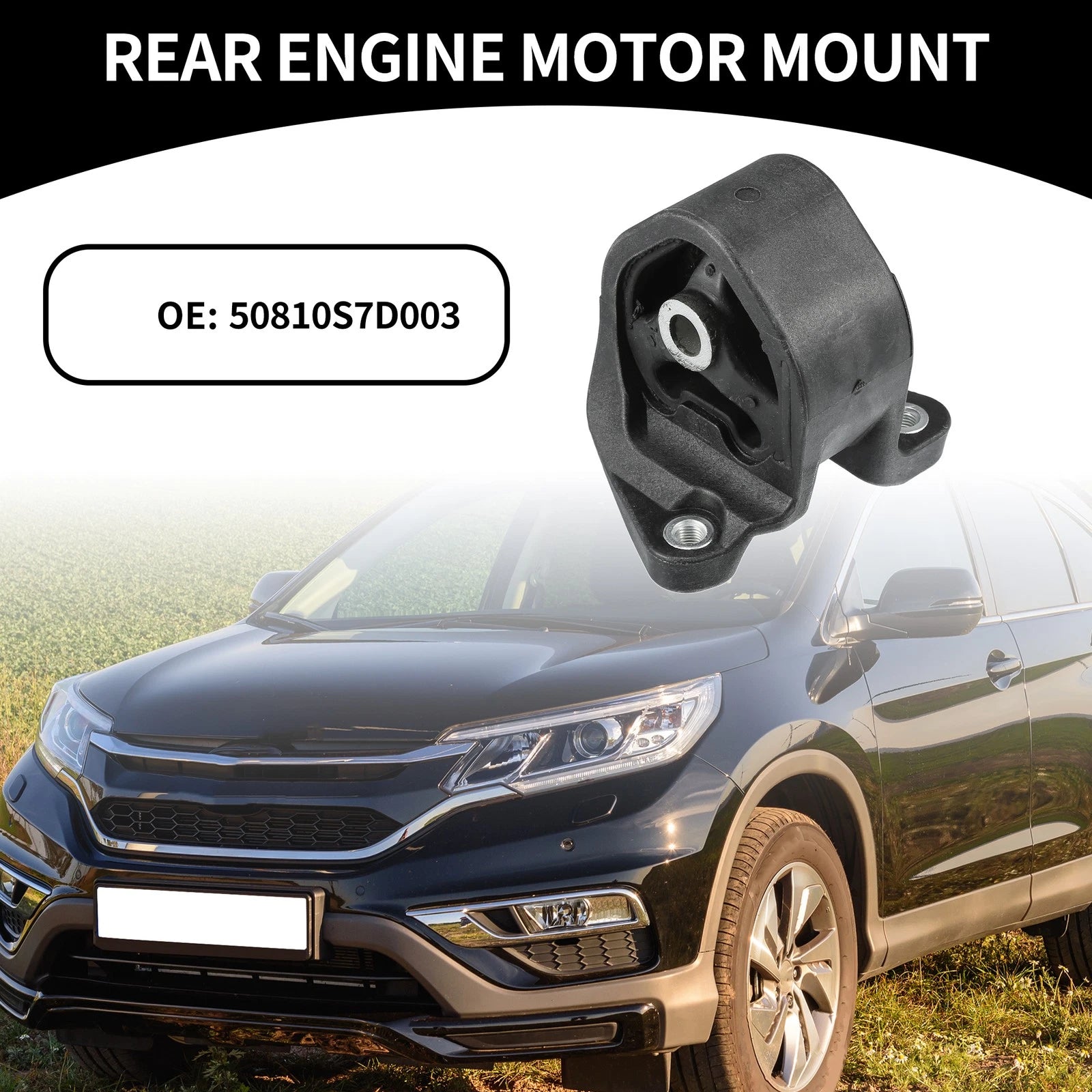 Engine Motor Mount Replacement for Honda CR-V and Element (2002–2006)