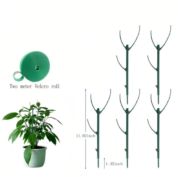 Adjustable Height Climbing Plant Support for Monstera