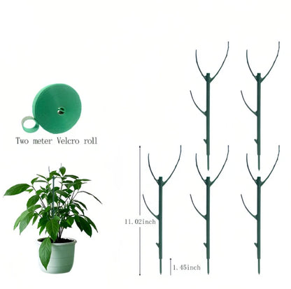 Adjustable Height Climbing Plant Support for Monstera