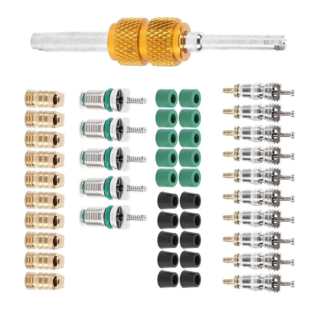 46Pcs Valve Core Kit for Air Conditioning Repair (Universal)