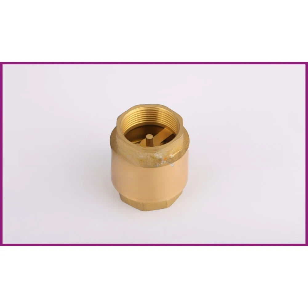 Vertical Check Valve DN20 for Water Pipes (4 Inch NPT Thread)