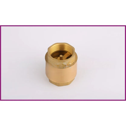 Vertical Check Valve DN20 for Water Pipes (4 Inch NPT Thread)