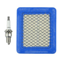 Air Filter Tune Up Kit for HRG415 HRG465
