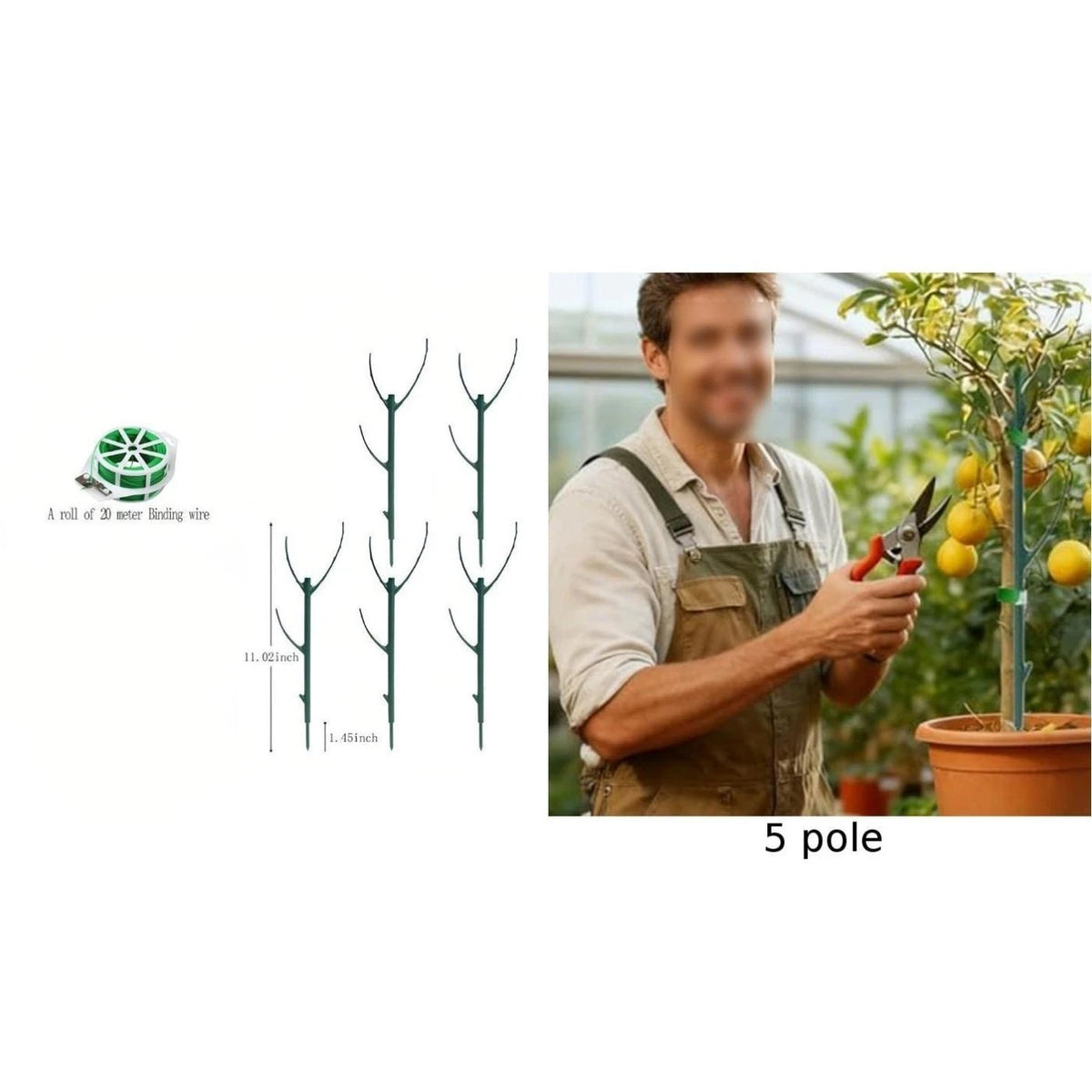 Adjustable Height Climbing Plant Support for Monstera