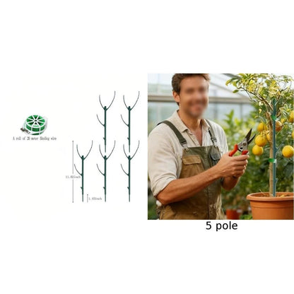 Adjustable Height Climbing Plant Support for Monstera