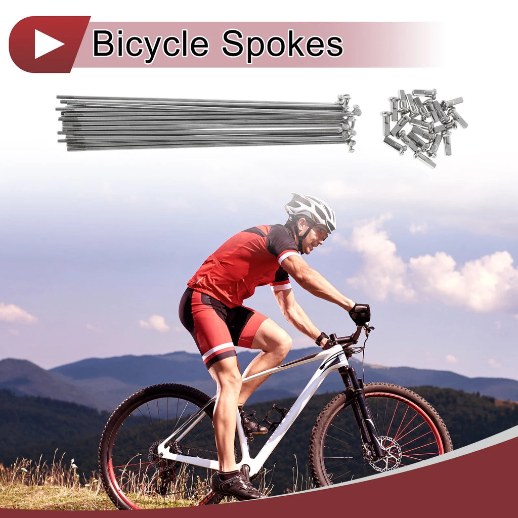 Bicycle Spokes 163mm Replacement Set for 20in Wheel (304 Stainless)