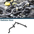 Radiator Hose for Volkswagen Beetle 1999–2005 OEM Replacement