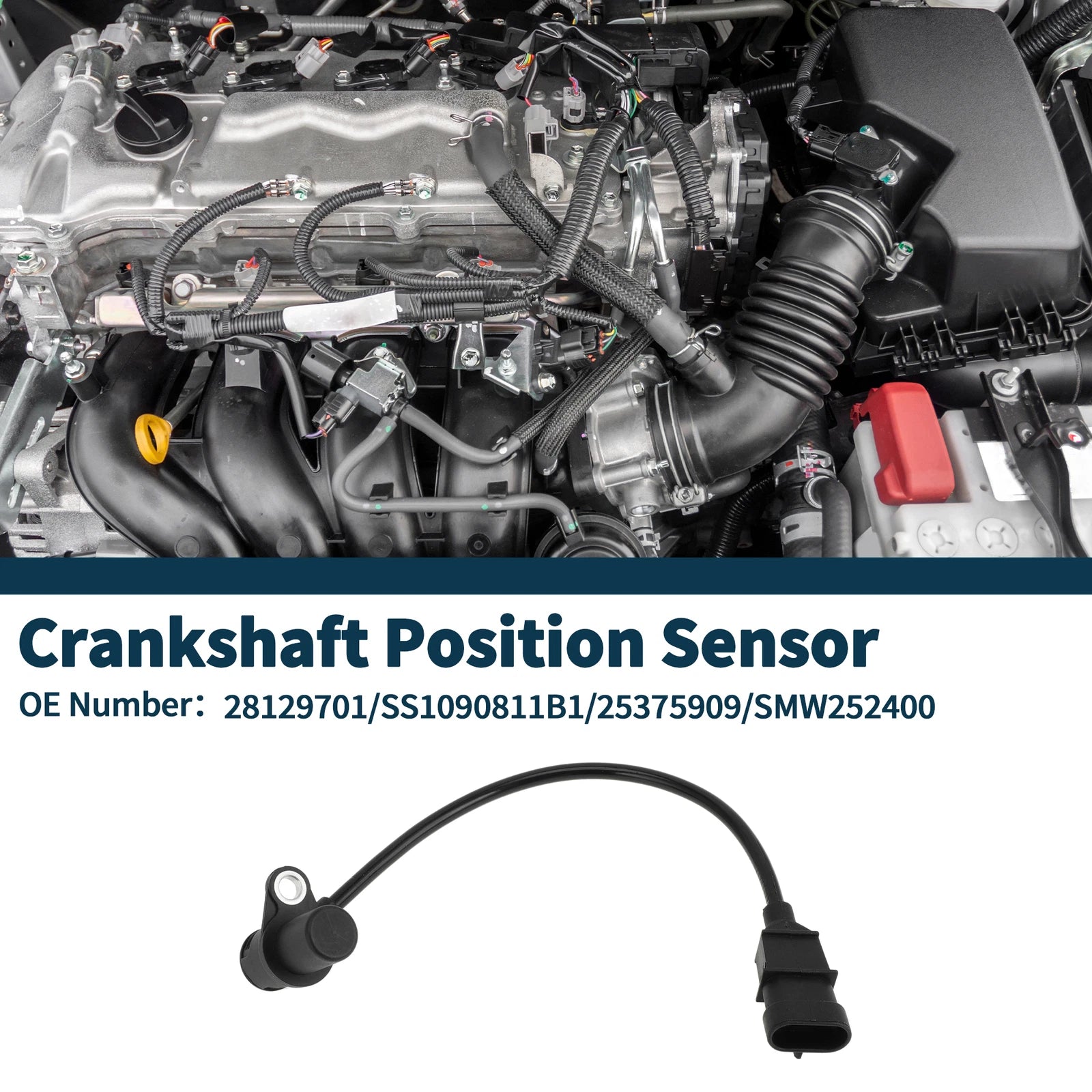 Crankshaft Position Sensor for Great Wall Haval (No. 28129701) 1 Pc Black
