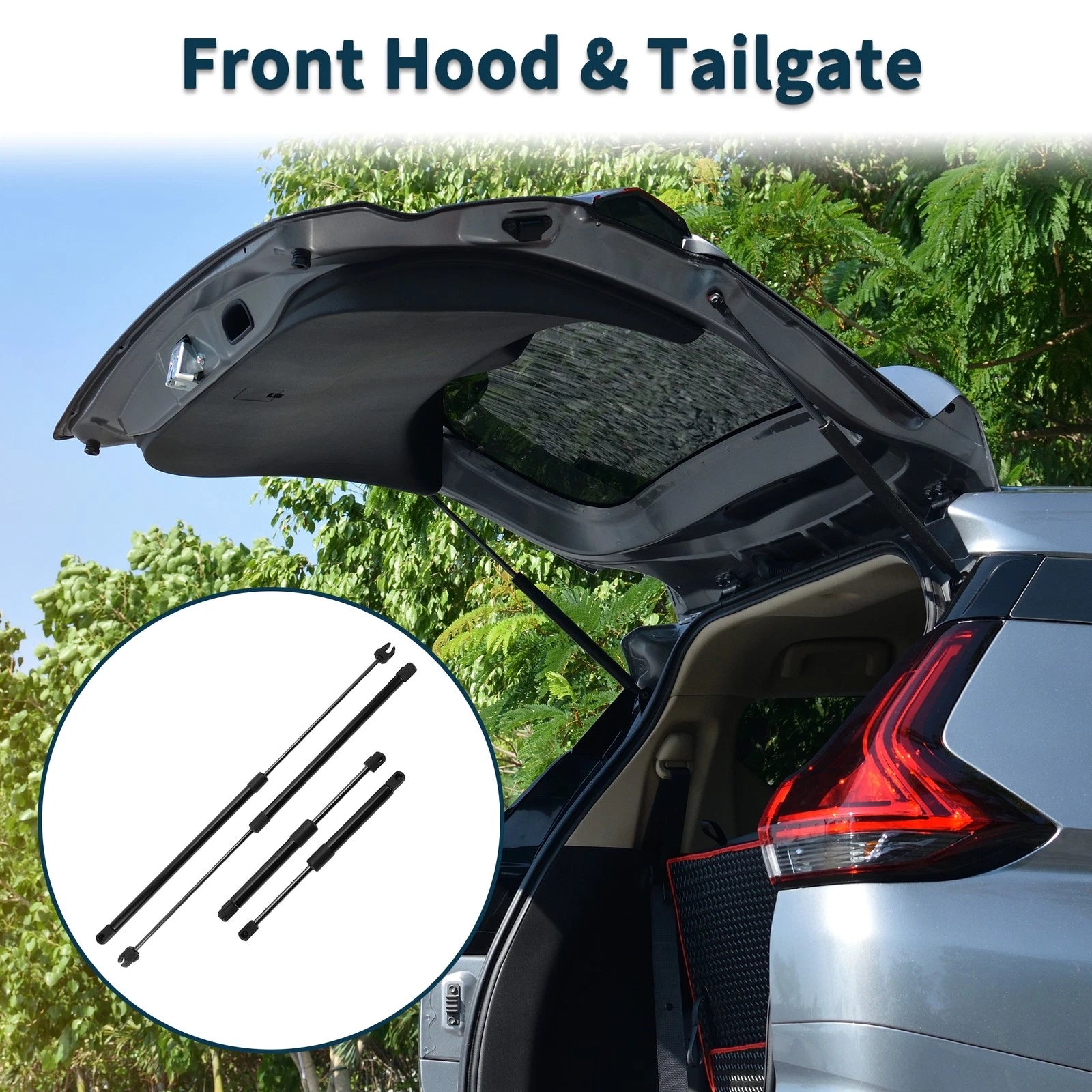 Front Hood and Tailgate Lift Supports Struts Set for Dodge Intrepid (1998–2004)
