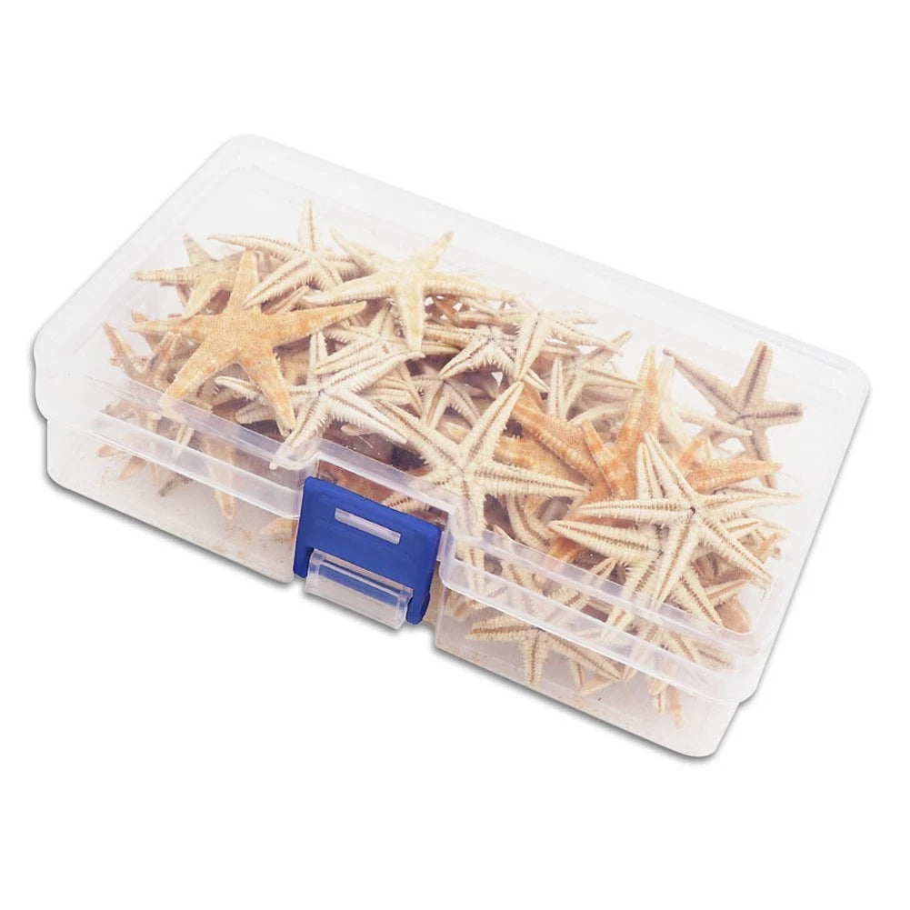 Starfish Craft Project for Fish Tank (2X)