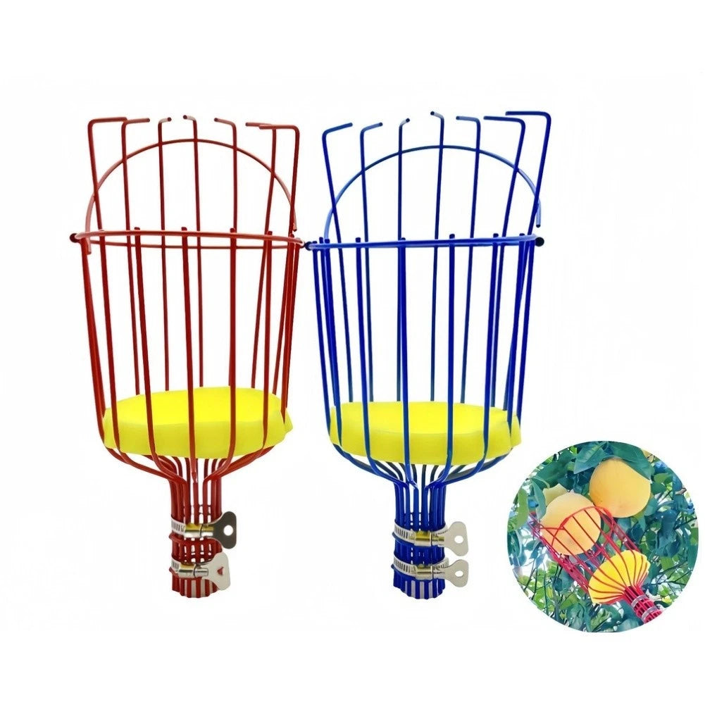 Extendable Fruit Harvesting Tool for Orange Persimmon Peach Pear Trees