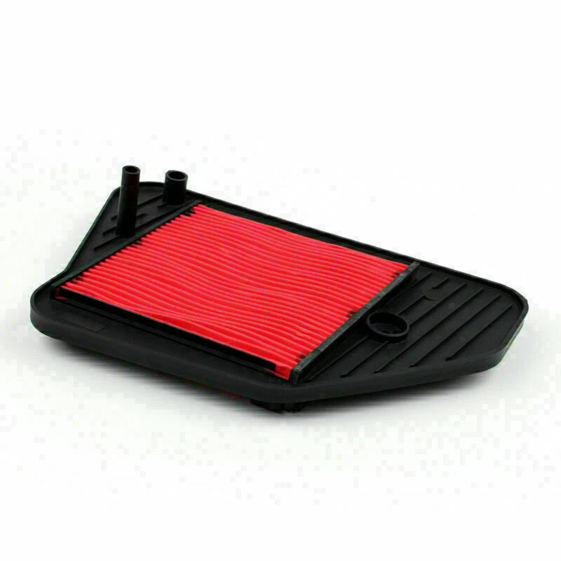 OEM Air Filter for Honda Freeway 250 CH250 (T9)