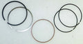 Piston Ring Set 51-401 for WSM 250/300 LT/LT-F