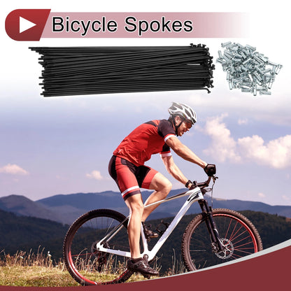 Bike Wheel Spokes Set 245mm Carbon Steel Black for 12G Bicycle (72 Pack)