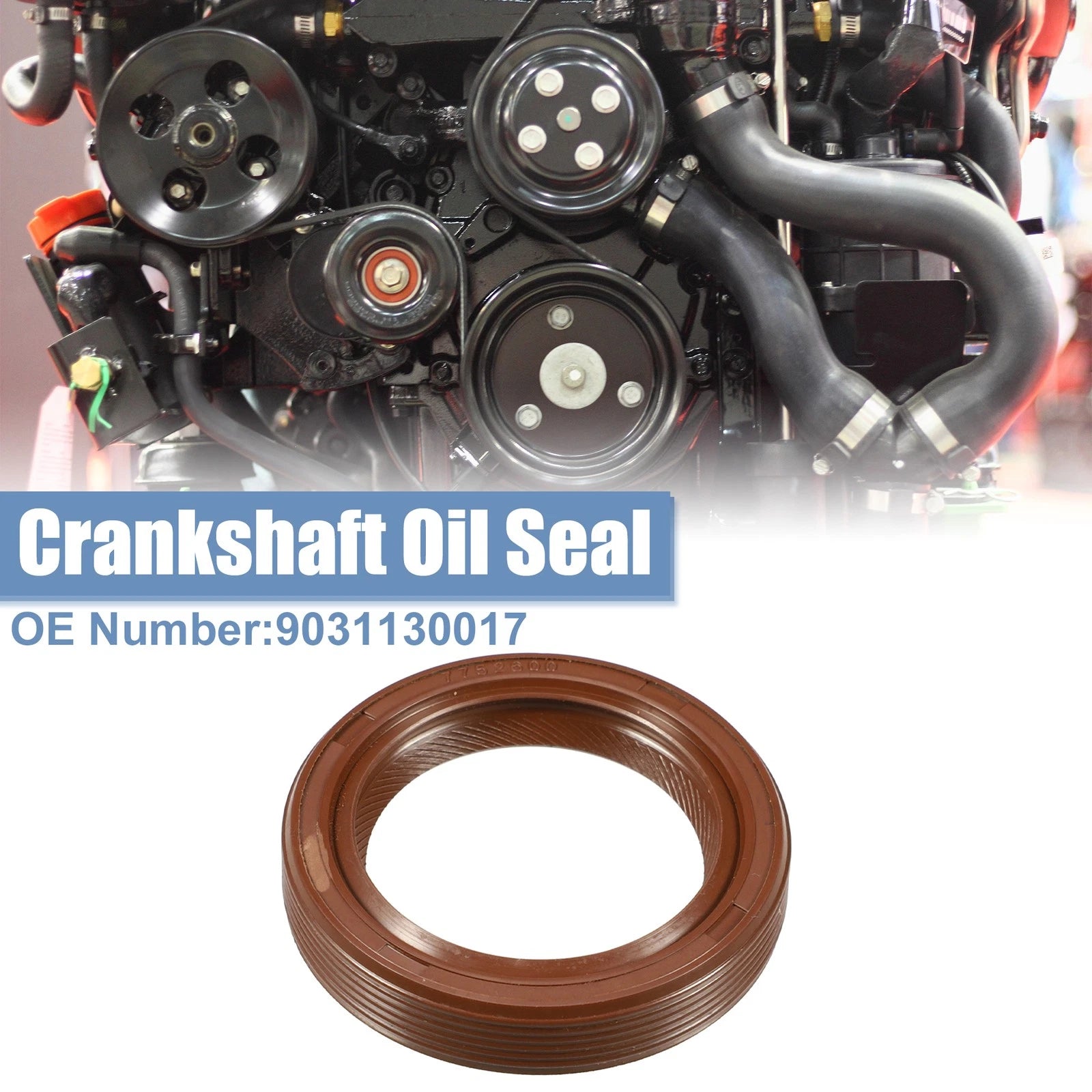 Crankshaft Oil Seal Replacement for Toyota RAV4 (1996–2004)
