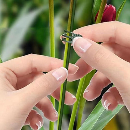 50 Plastic Plant Stakes and Orchid Clips for Plant Growth Support