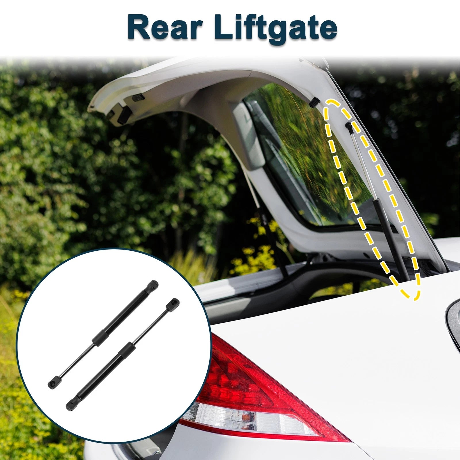 Tailgate Lift Supports Struts Upgrade for Dodge Challenger (2008–2021)