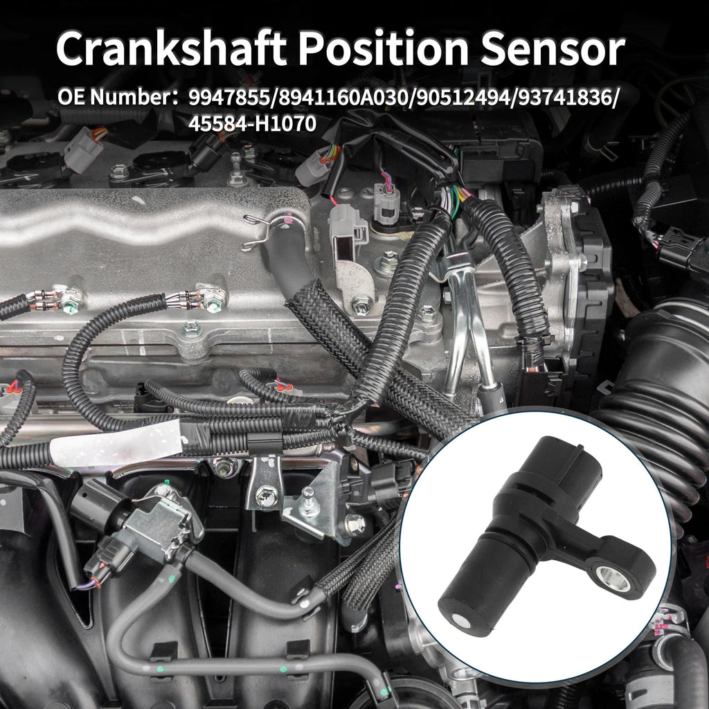 Crankshaft Position Sensor Replacement for Hyundai Terracan 2.5TD (2001–2006)