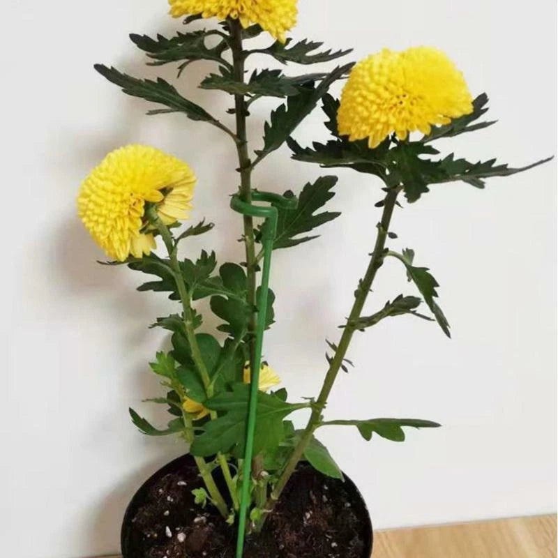 Single Stem Support Ring for Plants (Fiberglass)