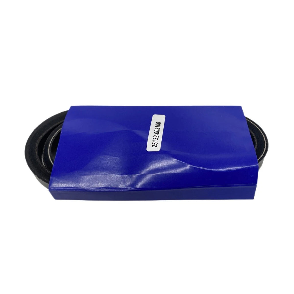 V Belt for Yanmar Marine 2GMLP 2GM20 2GMYE 3GM30 (Inboard Engine 25132-003100)