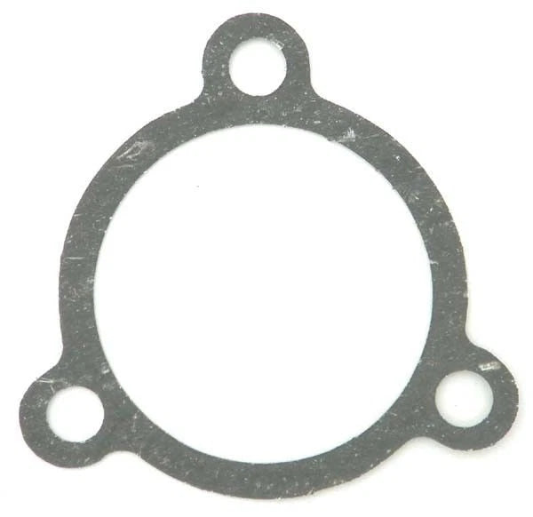 Flame Arrester Gasket for Yamaha 500 (WSM 007-483)