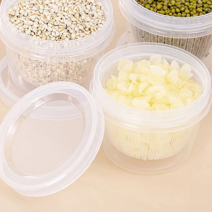 Refrigerator Drain Box Storage Basket for Kitchen Fruit Vegetable