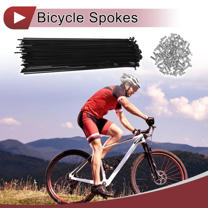 Set 14G Bicycle Spoke 209mm for Bike Wheel Carbon Steel Black (All Makes)