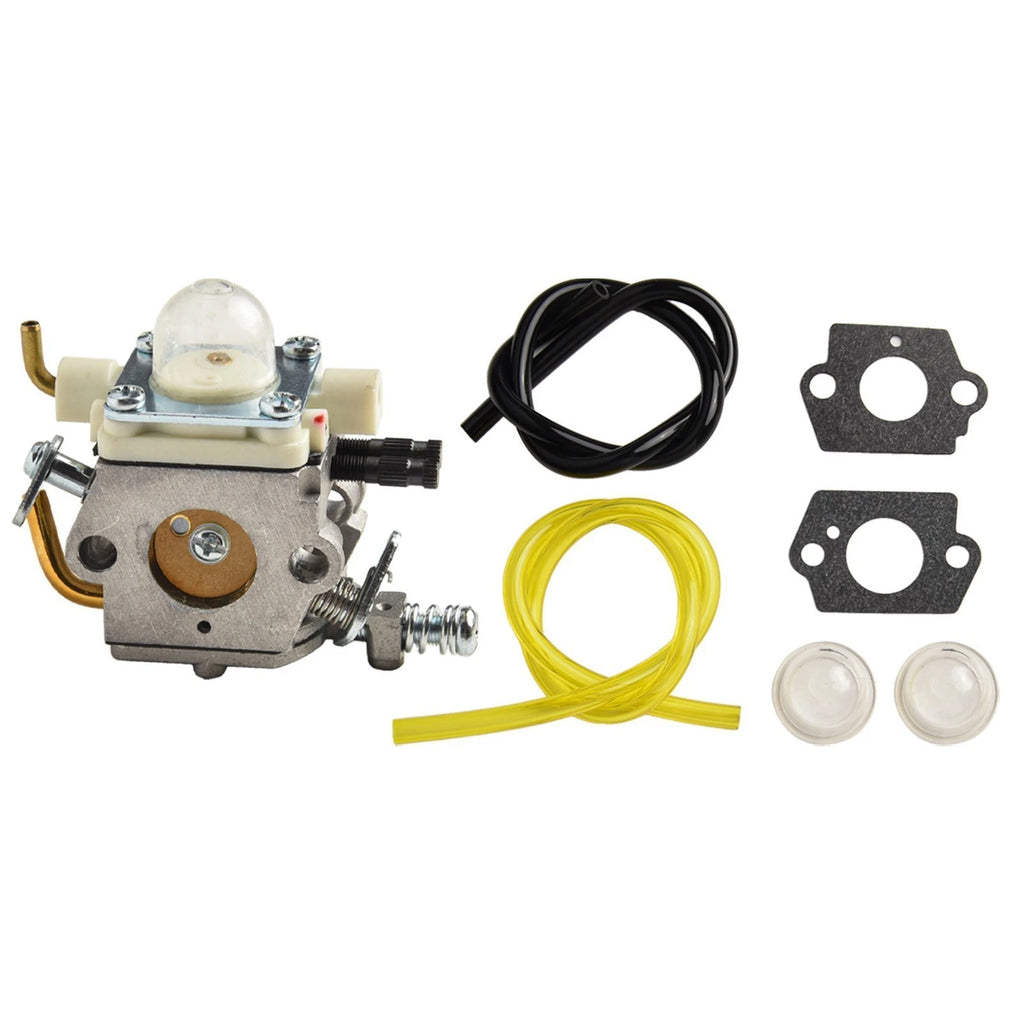 Carburetor Kit for Practical Accessories (Hot)