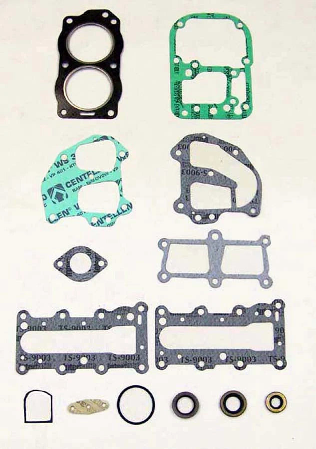 Gasket Kit for Johnson Evinrude 9.9 15 HP (1993–2007) 500-119