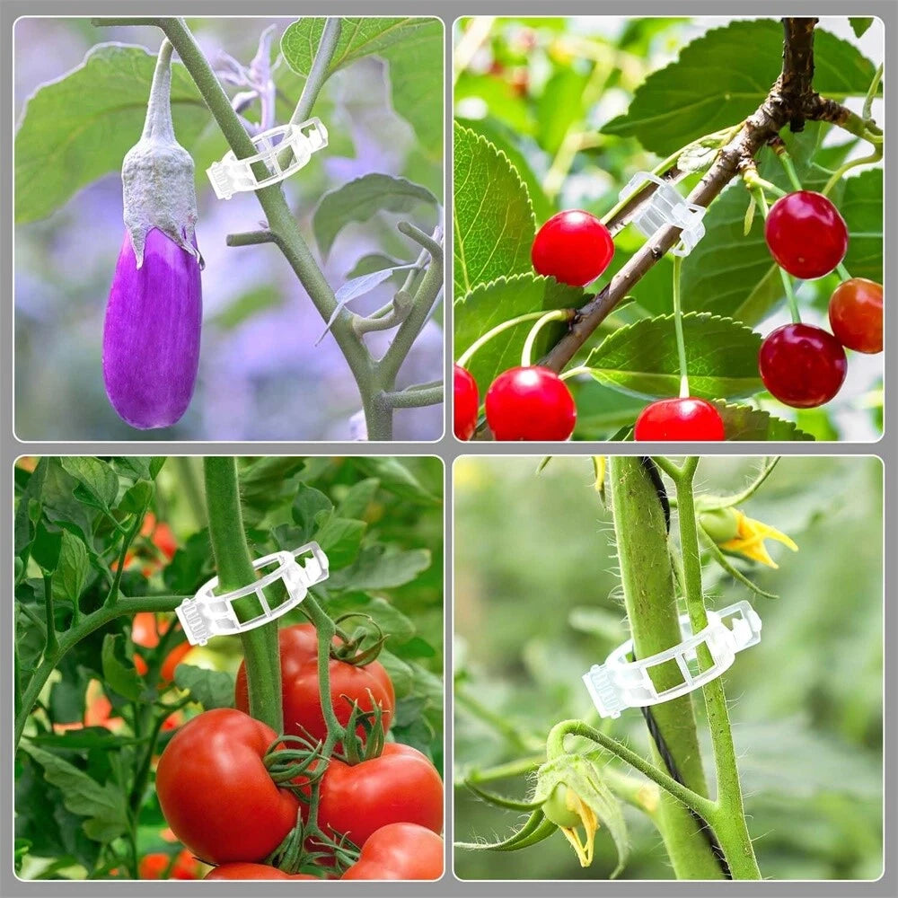 300Pcs Plant Support Clips for Grape Tomato Trellis (1")