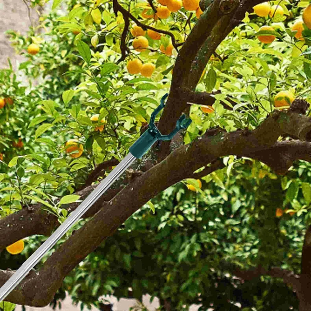 Premium Aluminium Alloy Tree Branch Supports for Aesthetic Appeal
