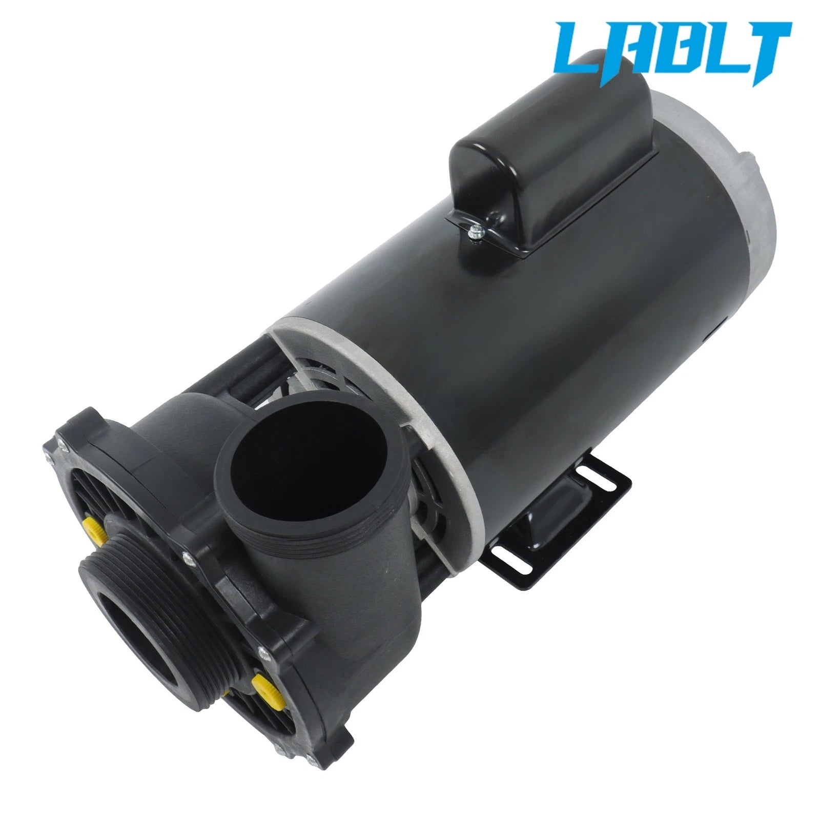 LABLT 4HP Dual-Speed Pool Pump for 56 Frame (3721621-13)