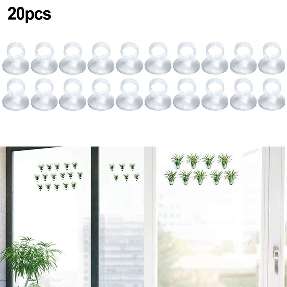 20 Pcs Plant Holder for Office Decor