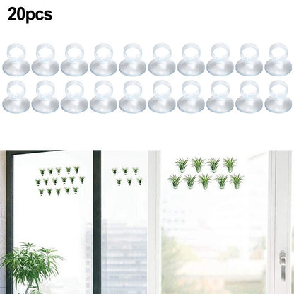 20 Pcs Plant Holder for Office Decor
