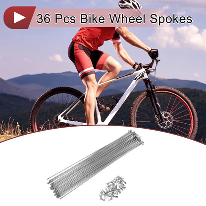 Bicycle Spokes 289mm Steel Galvanized for 36Set 12G Wheel Replacement