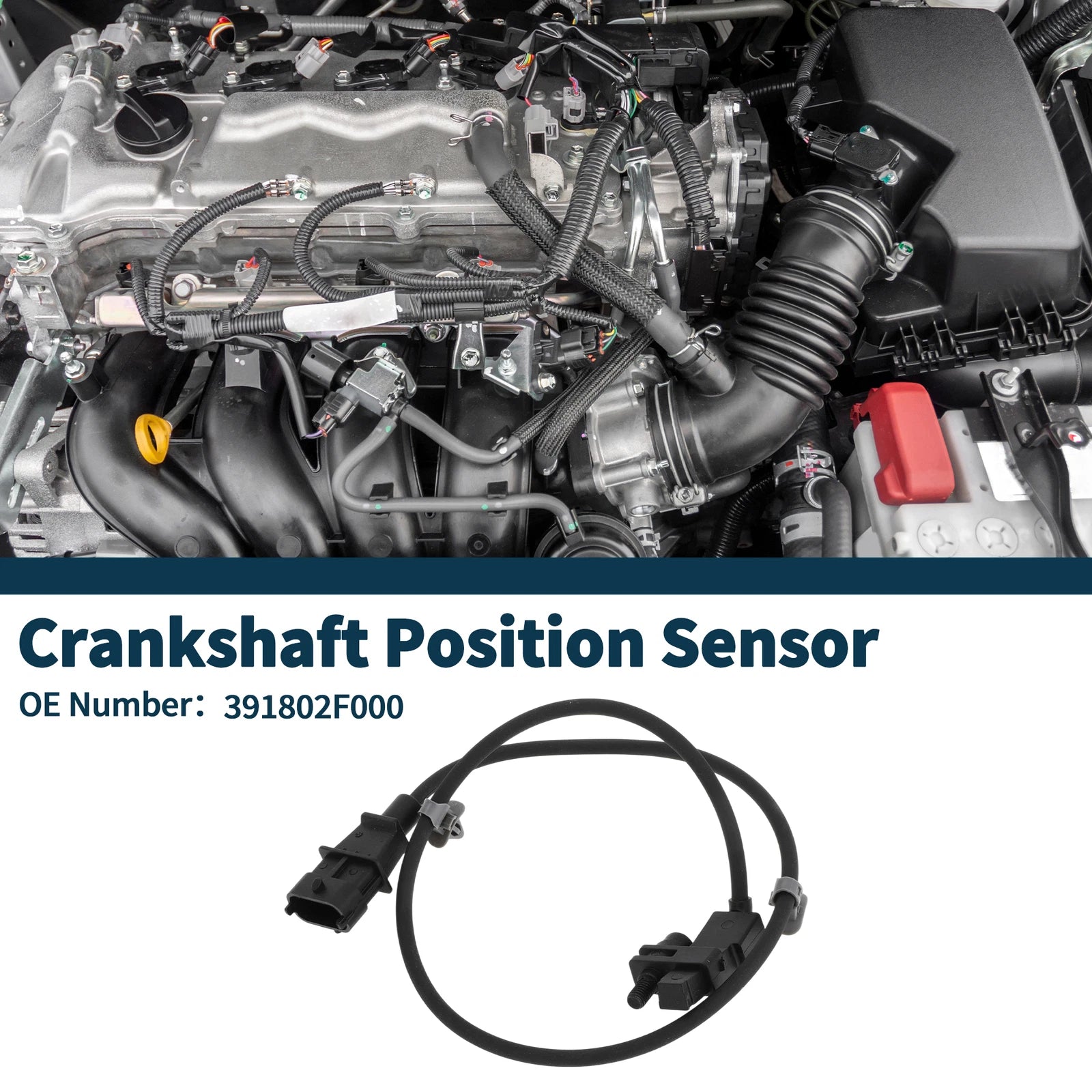 Crankshaft Position Sensor Replacement for Hyundai Santa Fe CM 2.0 CRDi (2009–2012)